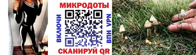 Купить  Вихоревка  Псилоцибиновые грибы мухоморы 